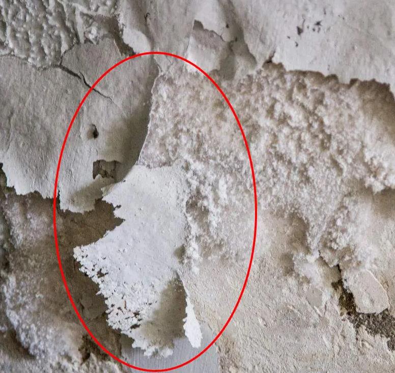 广州室内墙面防霉防水